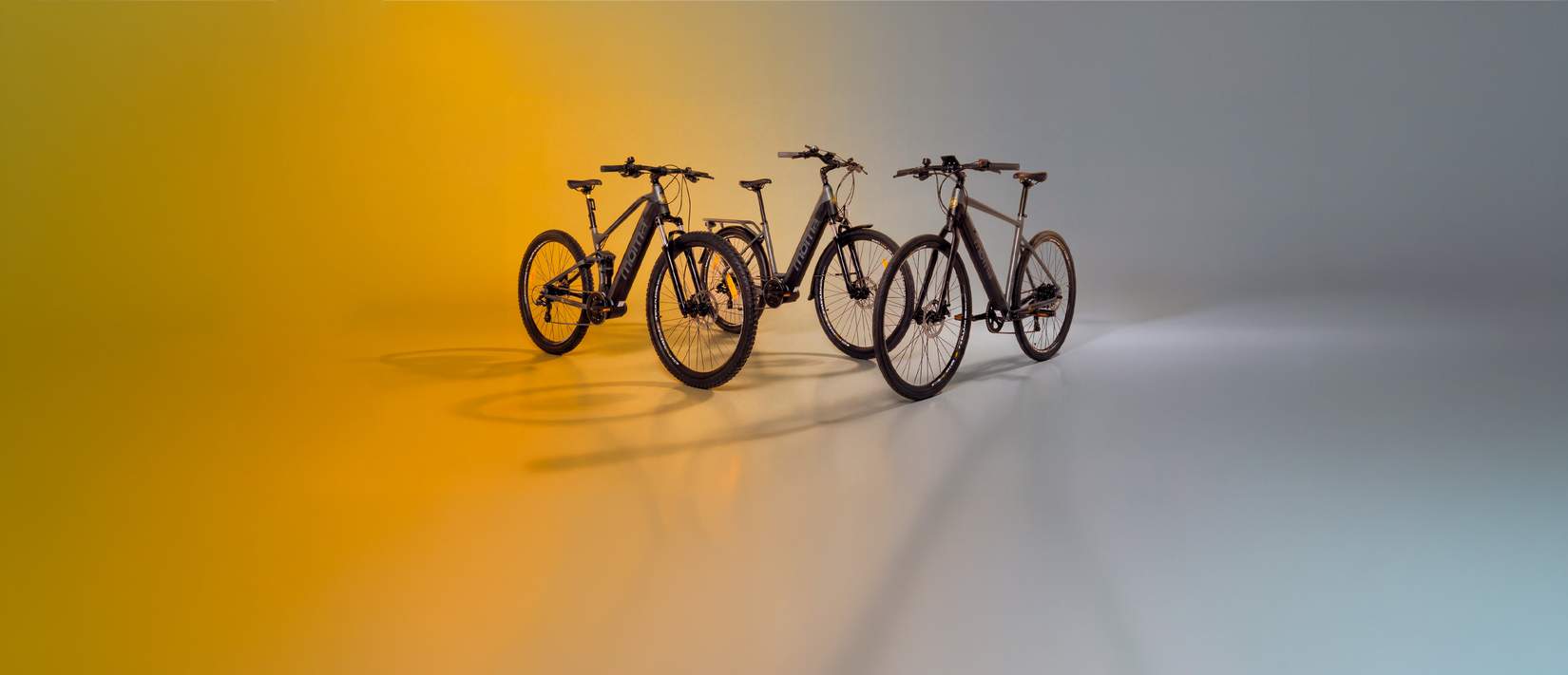 Dia Mundial da Bicicleta